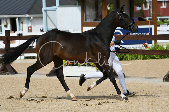 HSM_8853