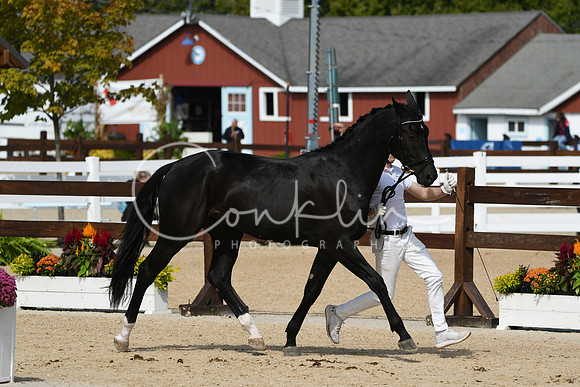 HSM_8961