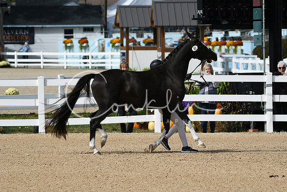 HSM_8946