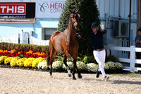 1H5A7494