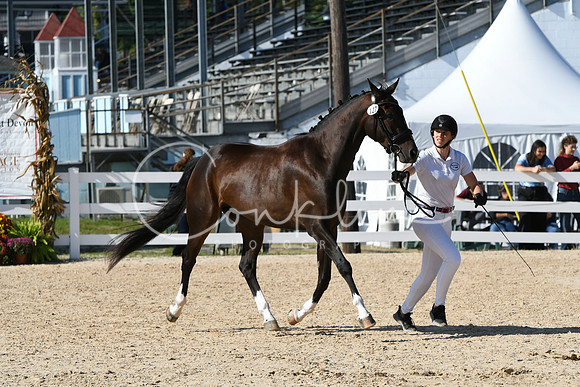 HSM_9226