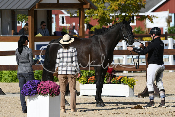 HSM_9181
