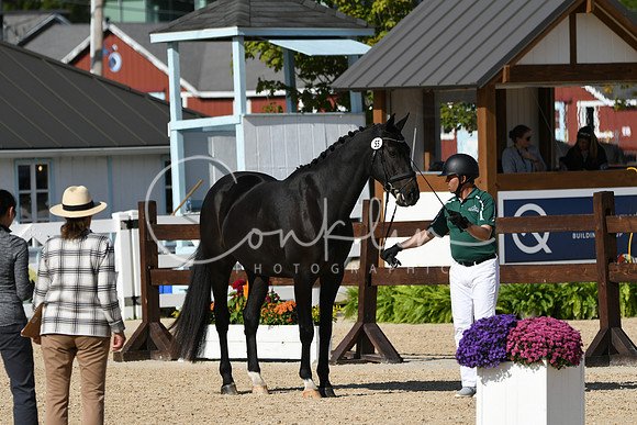 HSM_9195