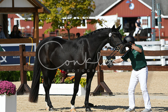HSM_9201