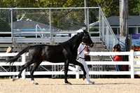HSM_9073