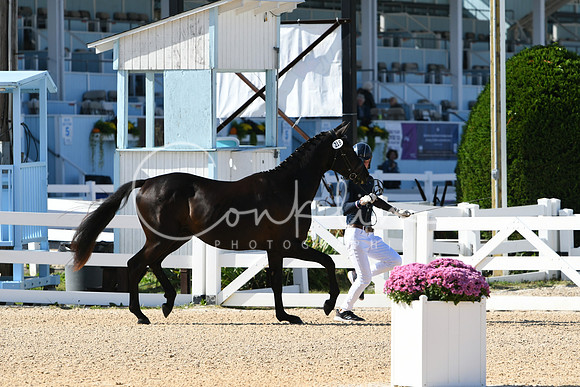 HSM_9056