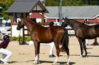 HSM_9032