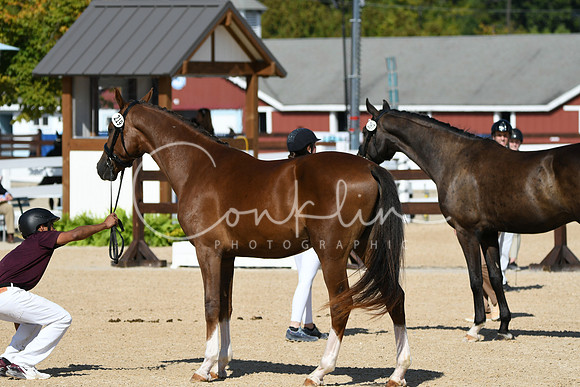 HSM_9032