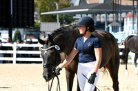 HSM_9041
