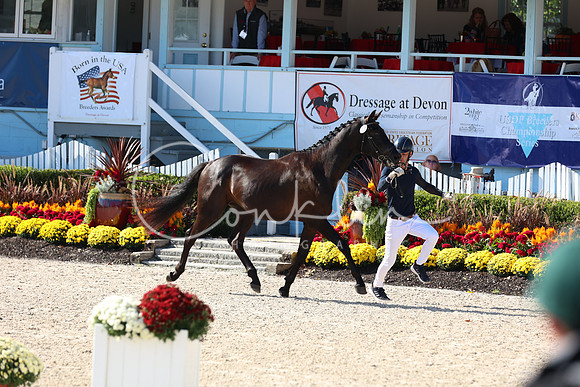 1H5A7259