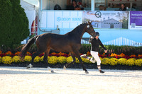 142 - Remington