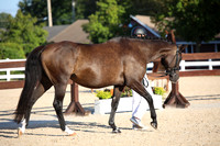 109 - Rockelle