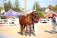 242 - EM Bahia Breeze