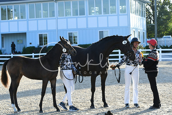 HSM_9758