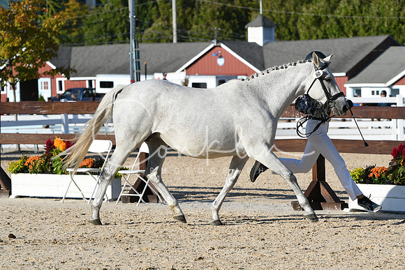 HSM_9575