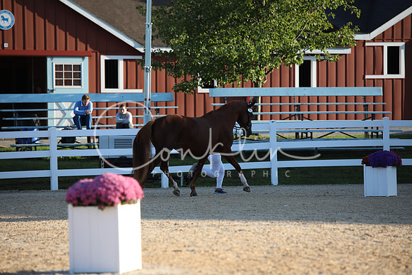 BW187412