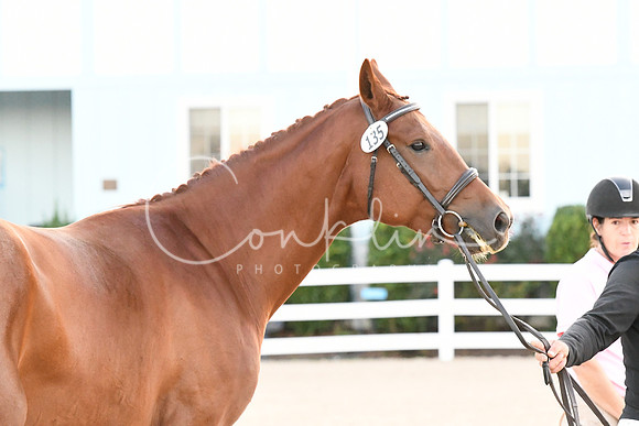 HSM_0044