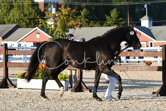 HSM_9856