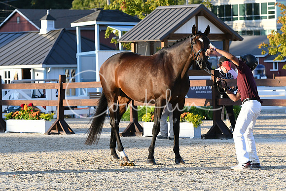 HSM_9885