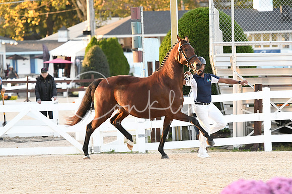 HSM_9961