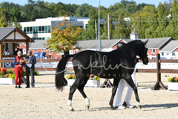 HSM_9439