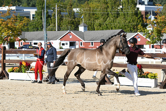 HSM_9404