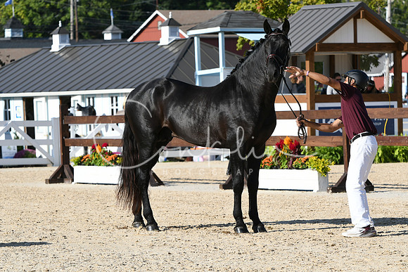 HSM_9359
