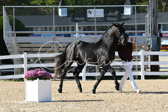 HSM_9372