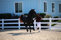 BW187175
