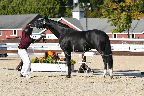 HSM_9495
