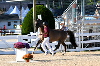 HSM_9520