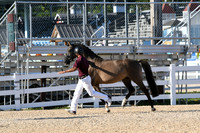 HSM_9519