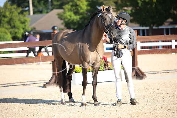 BW187276
