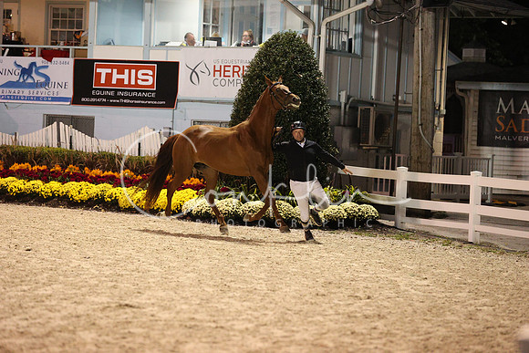 1H5A8285
