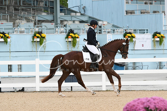 HSM_7399