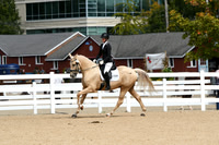HSM_8447