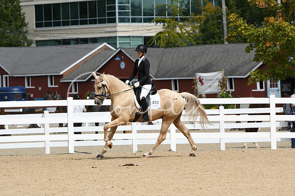 HSM_8447
