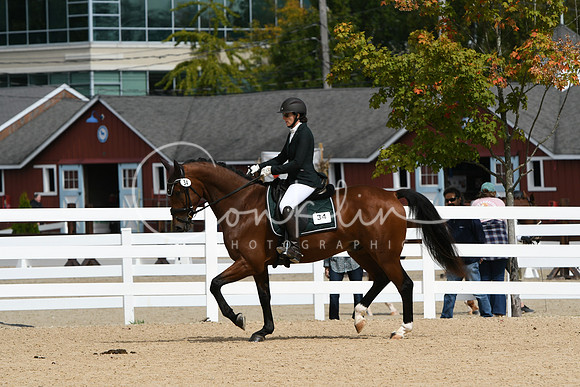 HSM_8448