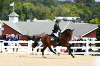 HSM_8472