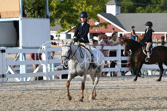 HSM_4537