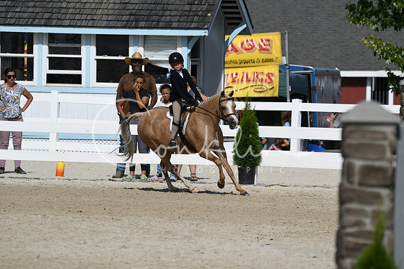 HSM_3828