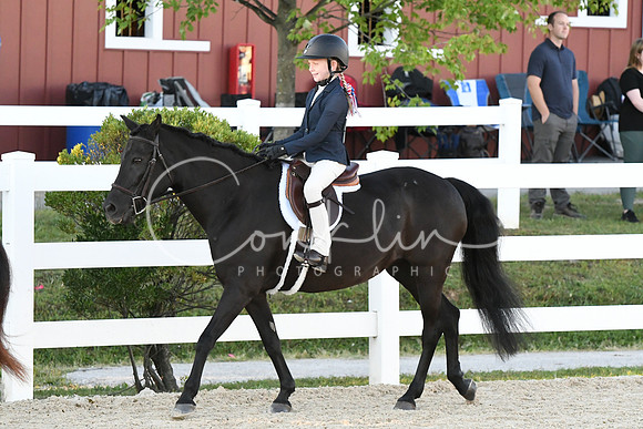 HSM_1608