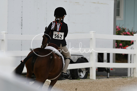 HSM_5295