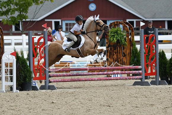 HSM_2467