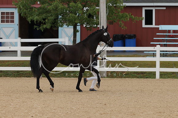 HLK_4020