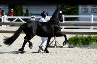 HSM_4757