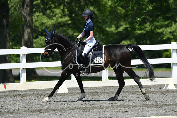 HSM_1454