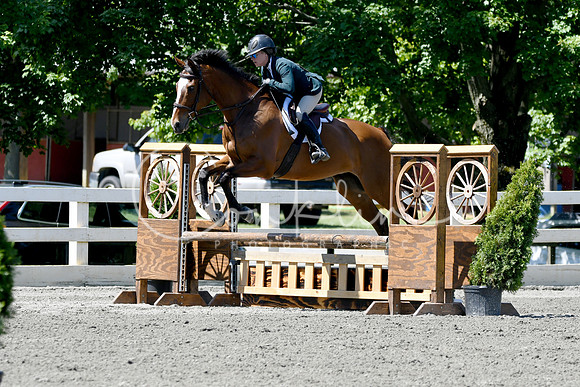 HSM_0877-1
