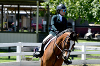 HSM_0878-1
