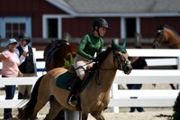 HSM_2014